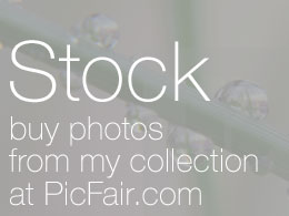Collection at PicFair